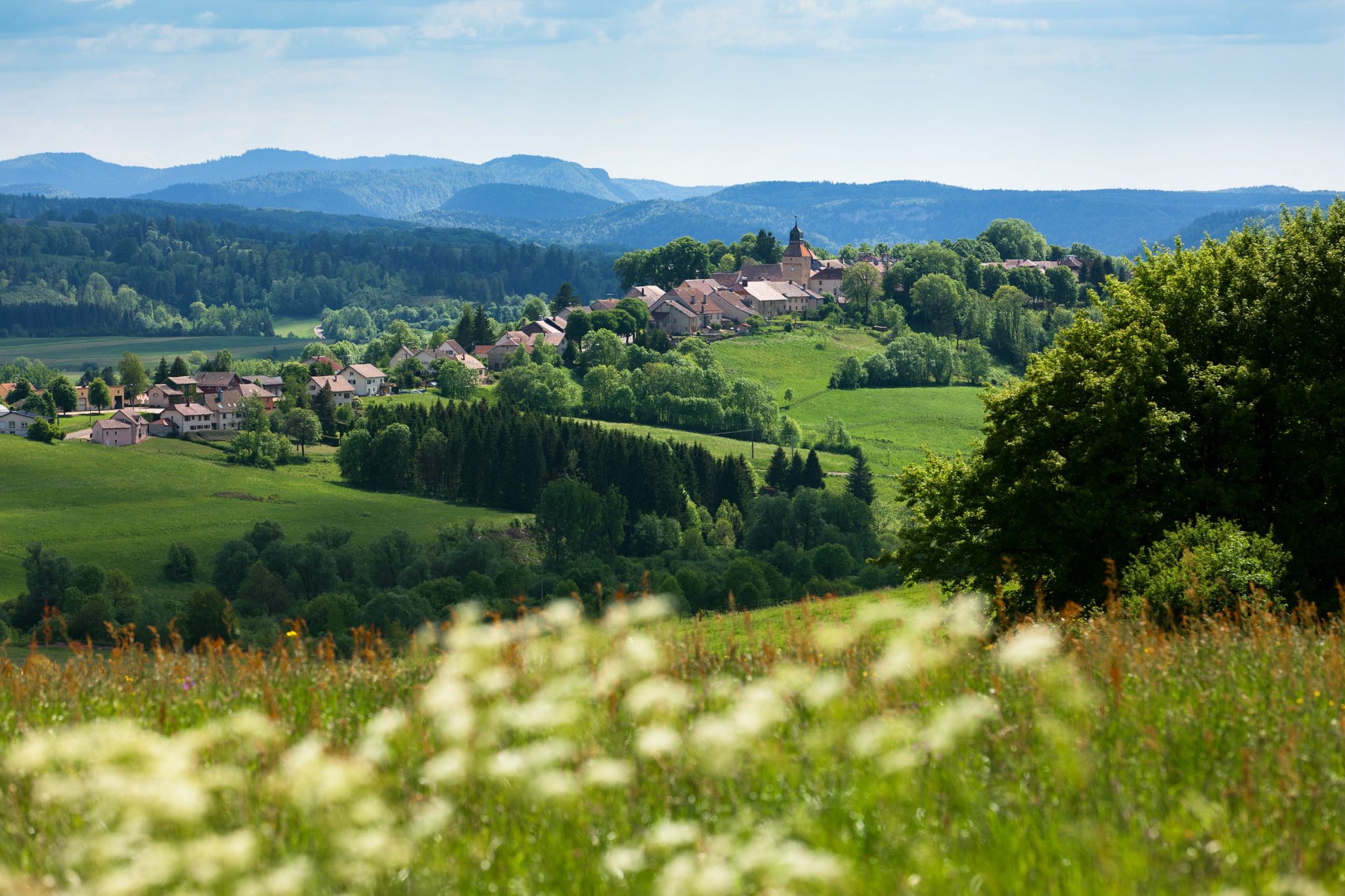 Paysage verdoyant du Jura