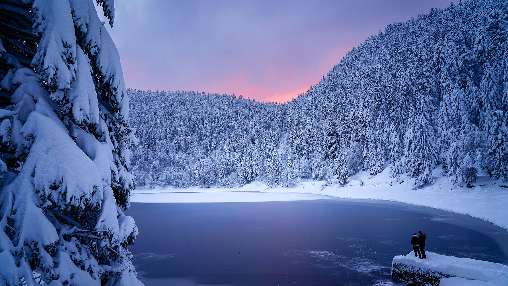 Photo des Vosges paysage 